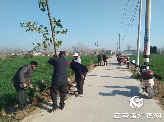  新蔡縣頓崗鄉(xiāng)：強化樹木管護(hù) 鞏固綠化成果