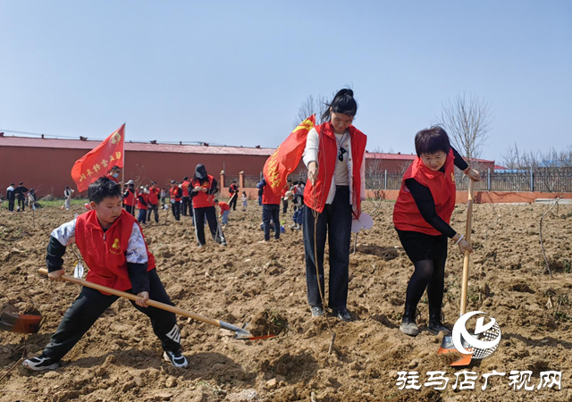 志愿紅播種生態(tài)綠 公益團(tuán)體攜手共筑“希望之林”