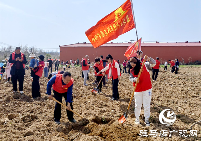 志愿紅播種生態(tài)綠 公益團(tuán)體攜手共筑“希望之林”