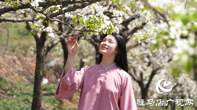 泌陽(yáng)縣：融媒女主播邀您云游馬谷田 感受漫山遍野花海盛宴