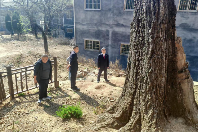 “驛遂”聯(lián)動 檢護(hù)青山  共筑防火“長城”