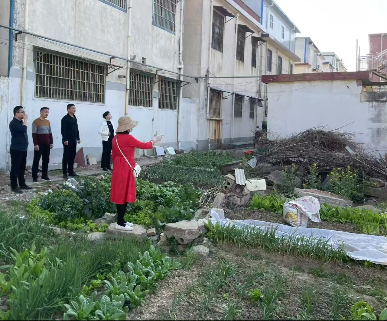 正陽縣真陽街道開展禁種鏟毒踏查活動(dòng)