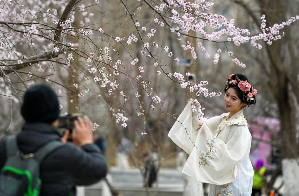 從“劇效應(yīng)”到“花經(jīng)濟” 春日文旅消費市場活力滿滿