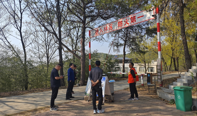 國有泌陽縣馬道林場全力筑牢森林資源安全防火墻