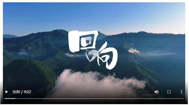 微視頻｜回響