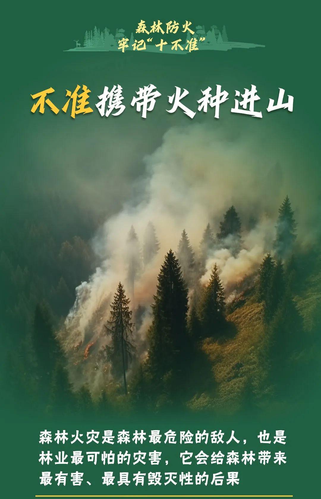 山火連發(fā)，原因公布！多地拉響紅色預(yù)警→