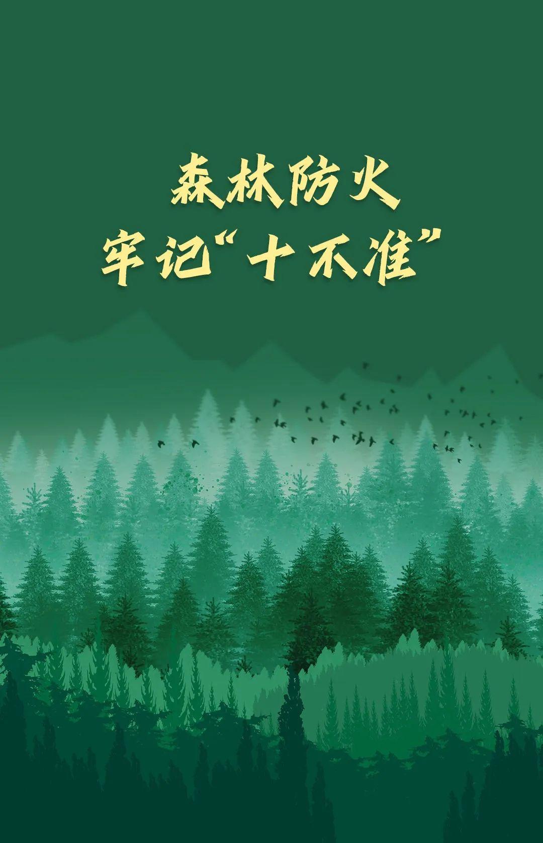 山火連發(fā)，原因公布！多地拉響紅色預(yù)警→