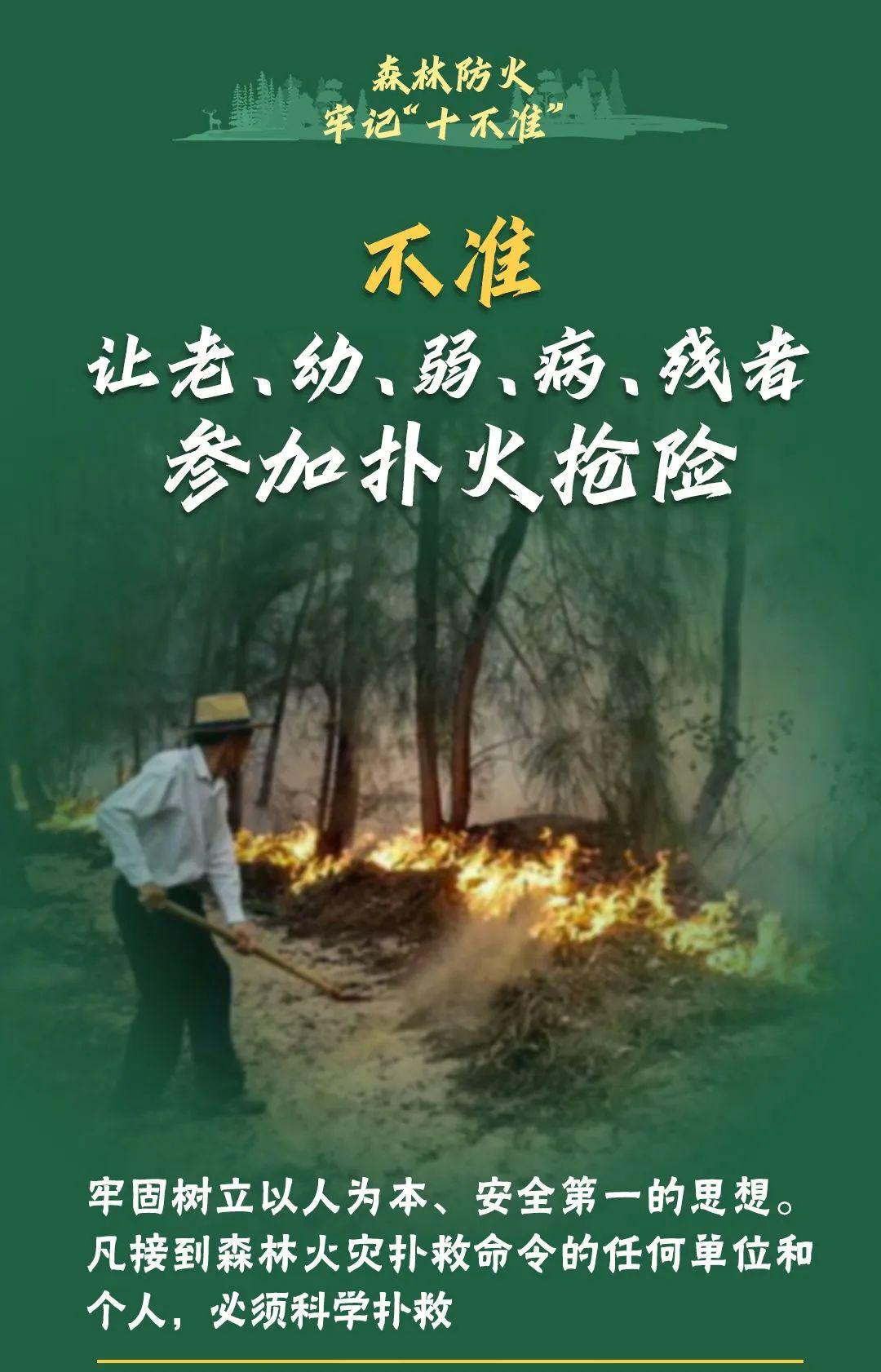 山火連發(fā)，原因公布！多地拉響紅色預(yù)警→