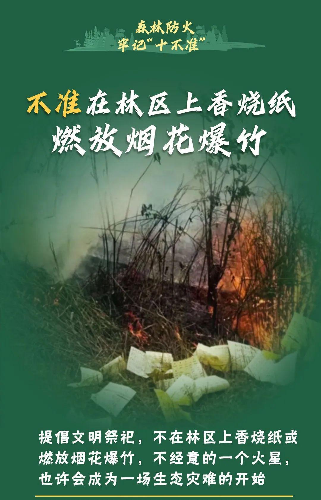 山火連發(fā)，原因公布！多地拉響紅色預(yù)警→