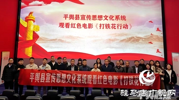 平輿縣宣傳思想文化系統(tǒng)組織觀看紅色電影《打鐵花行動》
