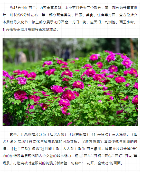 今晚8點，第42屆中國洛陽牡丹文化節(jié)線上開幕直播特別節(jié)目上演