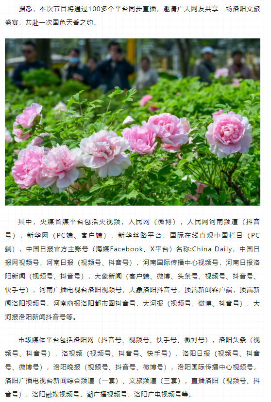 今晚8點，第42屆中國洛陽牡丹文化節(jié)線上開幕直播特別節(jié)目上演
