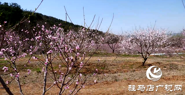 微信截圖_20250402102055.png