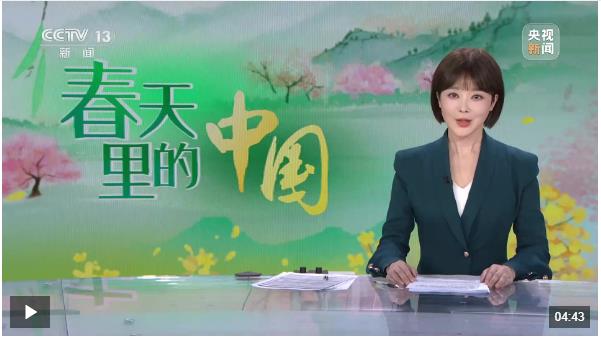 春天里的中國(guó) 河南 8500萬畝小麥正值拔節(jié)期