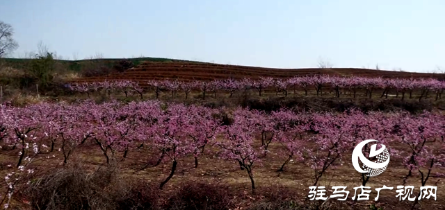 微信截圖_20250402103611.png