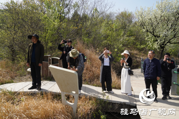 駐馬店各縣區(qū)網(wǎng)絡(luò)名人齊聚遂平 共尋天中最美春天