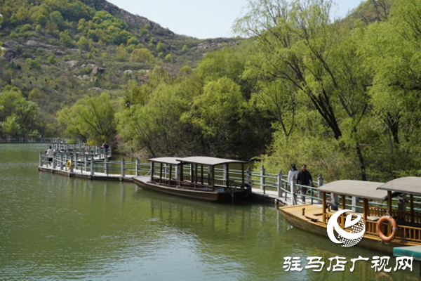駐馬店各縣區(qū)網(wǎng)絡(luò)名人齊聚遂平 共尋天中最美春天