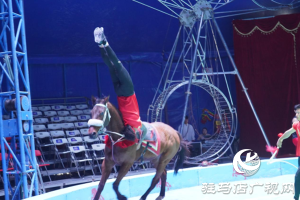 駐馬店各縣區(qū)網(wǎng)絡(luò)名人齊聚遂平 共尋天中最美春天