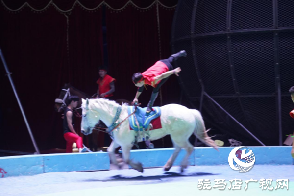 駐馬店各縣區(qū)網(wǎng)絡(luò)名人齊聚遂平 共尋天中最美春天