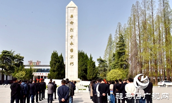 2025年平輿縣“清明祭英烈”主題紀念活動舉行