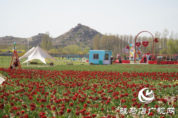 駐馬店各縣區(qū)網(wǎng)絡(luò)名人齊聚遂平 共尋天中最美春天