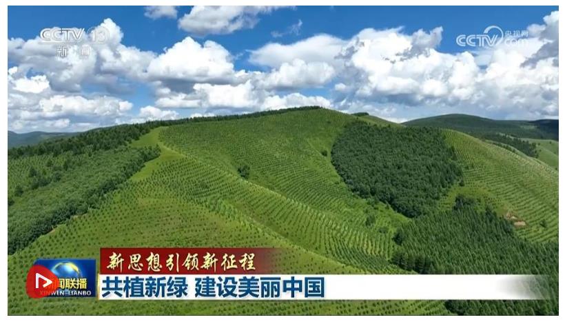 【新思想引領新征程】共植新綠 建設美麗中國