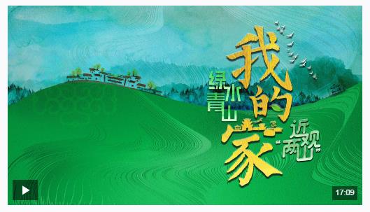 近觀“兩山”丨綠水青山我的家