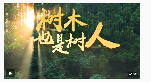 近觀“兩山” | 樹木，也是樹人