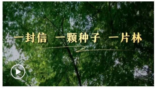  第一視點(diǎn)丨一封信 一顆種子 一片林