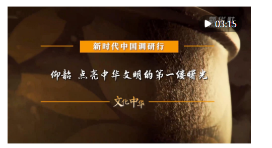 新時(shí)代中國(guó)調(diào)研行之文化中華·國(guó)寶故事｜仰韶 點(diǎn)亮中華文明的第一縷曙光