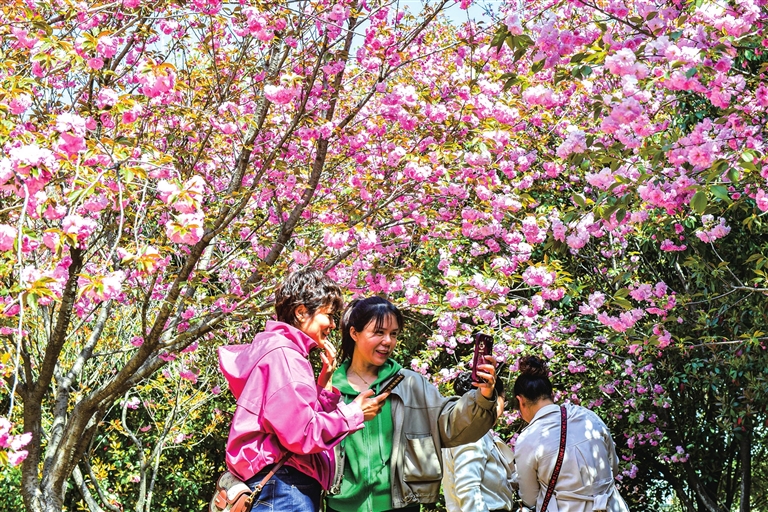農文旅融合賦能鄉(xiāng)村振興