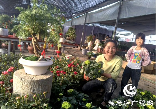 平輿縣：鮮花祭掃成風(fēng)尚 清明吹起“文明風(fēng)”