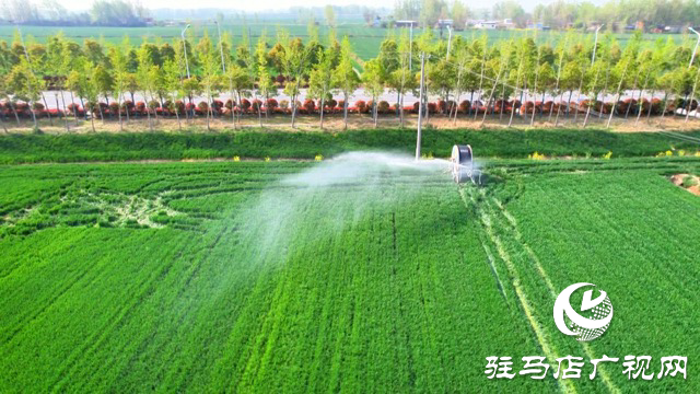 正陽縣：科技春管護(hù)麥長(zhǎng) 精準(zhǔn)滴灌保豐年