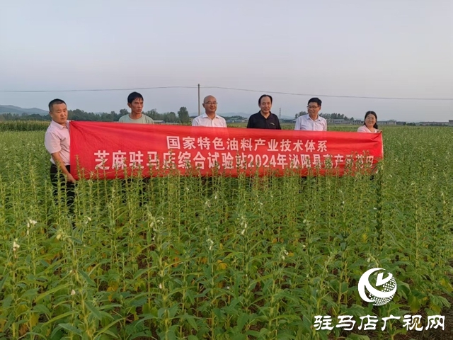 特色油料產(chǎn)業(yè)調(diào)研組到泌陽(yáng)縣調(diào)研芝麻產(chǎn)業(yè)發(fā)展