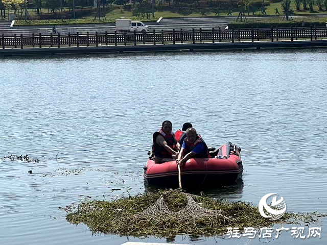 守護一城碧水！確山縣住建局清淤除草保河暢水清