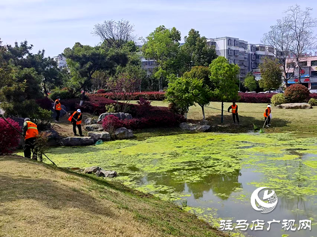 守護一城碧水！確山縣住建局清淤除草保河暢水清