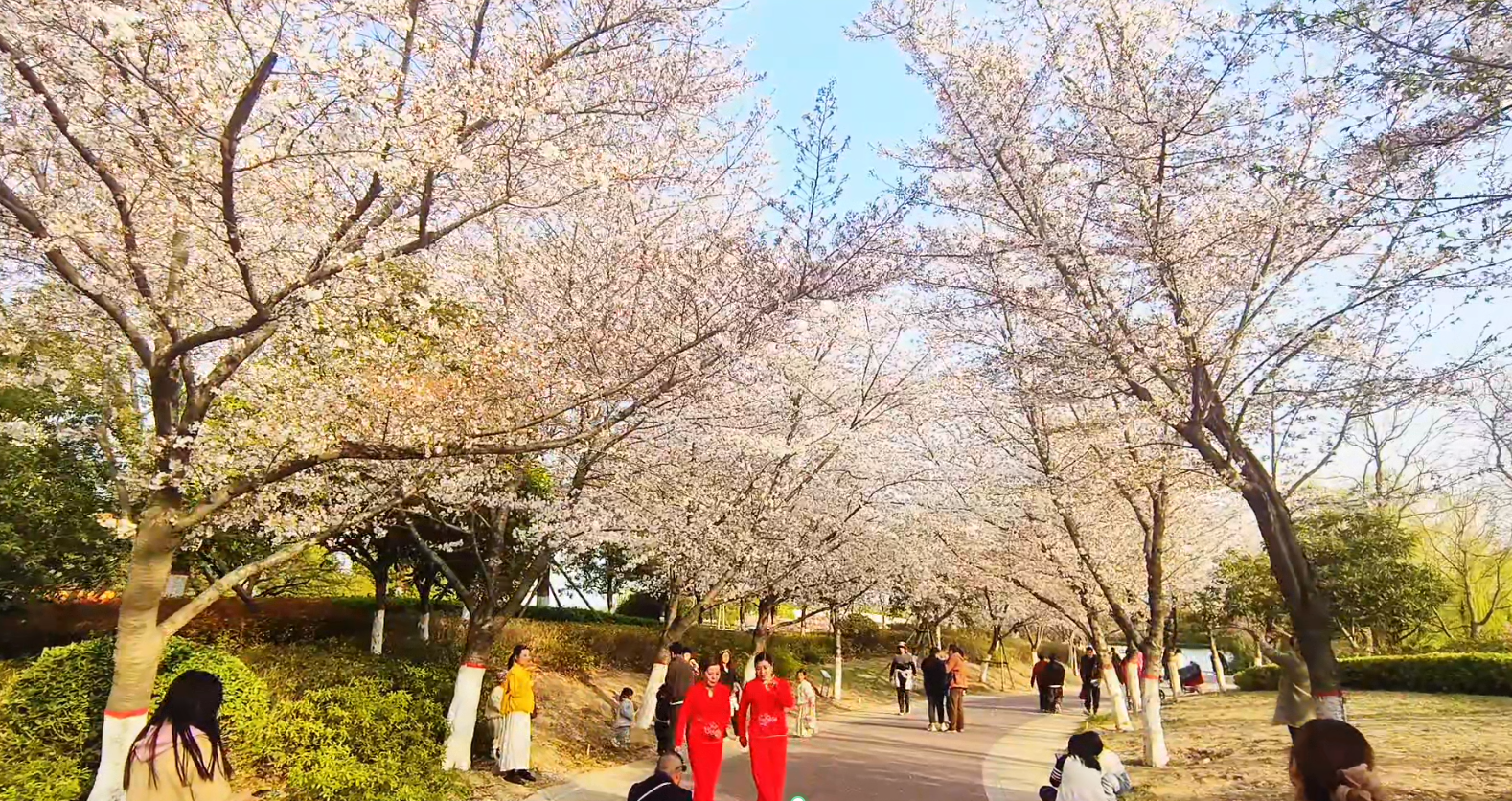 【城市旅游年票】讓你隨時(shí)隨地開(kāi)啟精彩旅程！
