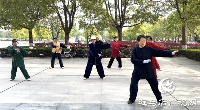 駐馬店：全民健身動起來 不負春日好時光