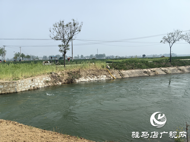 驛城區(qū)沙河店鎮(zhèn)：干群聯(lián)動(dòng)保春管 科學(xué)澆水護(hù)糧安全