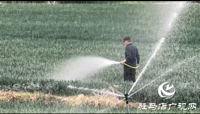 驛城區(qū)板橋水庫開閘放水 助力農(nóng)田灌溉