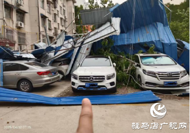 大風(fēng)天氣車輛受損  中國人壽財險駐馬店公司高效救援 