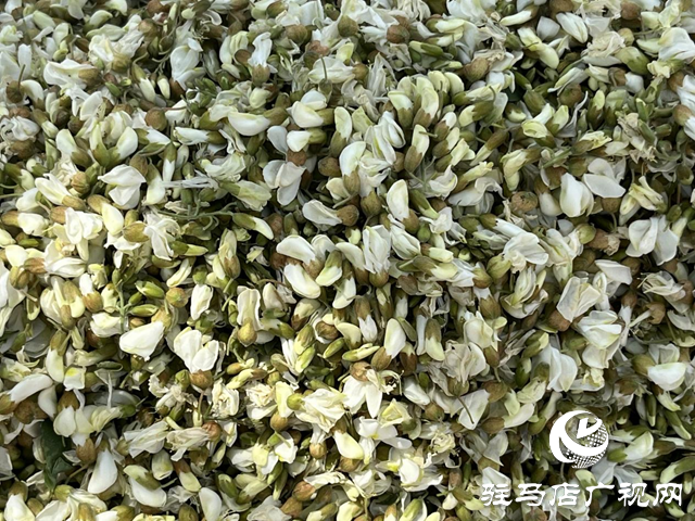 洋槐花味道雖美 但四類人群食用需謹(jǐn)慎