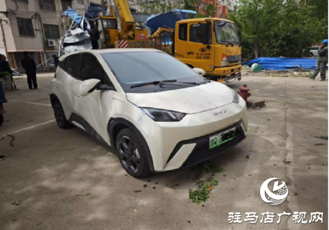 大風(fēng)天氣車輛受損  中國人壽財險駐馬店公司高效救援 