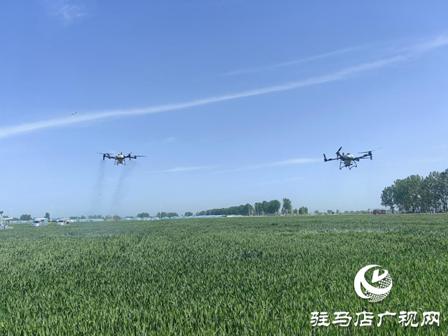 驛城區(qū)20萬物資+無人機飛防打響小麥病蟲害防治“攻堅戰(zhàn)”