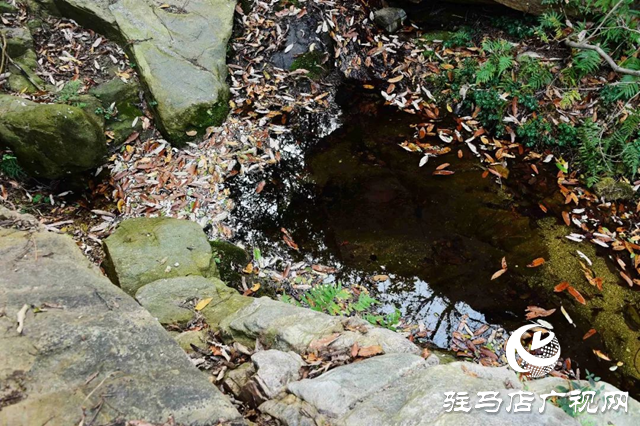 泌陽老鷹山：四季美如油畫
