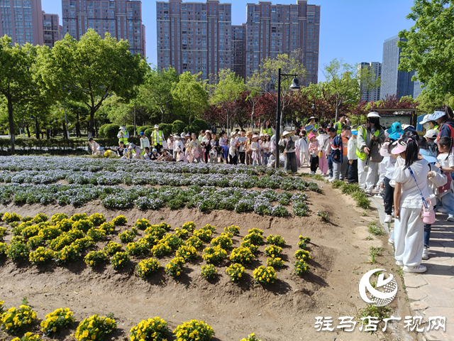 駐馬店經(jīng)濟(jì)開發(fā)區(qū)金雀路小學(xué)舉行徒步研學(xué)活動(dòng)