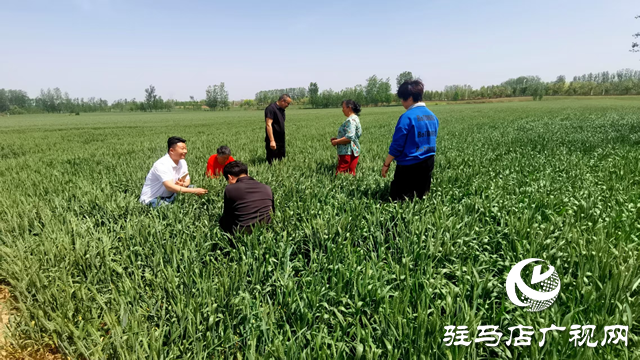 黨建領(lǐng)航創(chuàng)“五星”  任馬莊村繪就“綠富美”振興圖