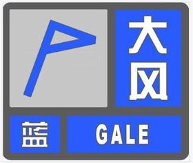 陣風(fēng)7級以上  駐馬店發(fā)布大風(fēng)藍(lán)色預(yù)警