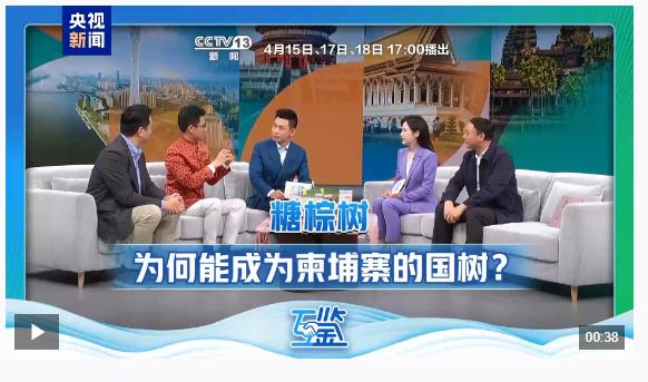 互鑒丨雙向奔赴 真心澆灌 中柬“友誼之樹”根深葉茂