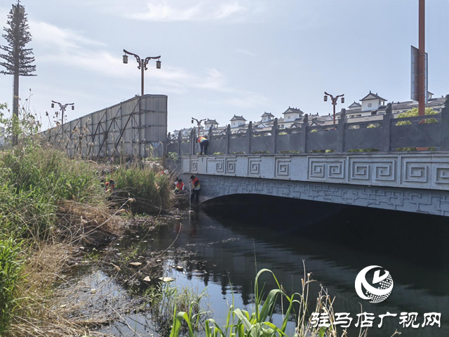 天中義工聯(lián)合會環(huán)保項目組開展“清潔家園”環(huán)境整治暨集中清理河道垃圾公益活動